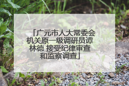 广元市人大常委会机关原一级调研员谭林德 接受纪律审查和监察调查