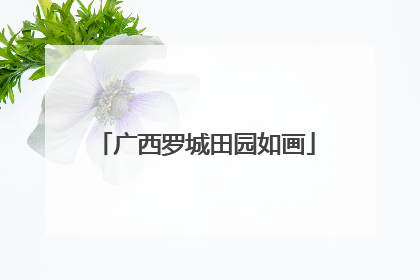 广西罗城田园如画
