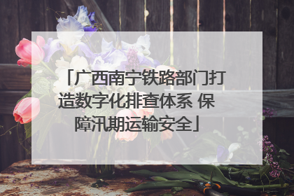 广西南宁铁路部门打造数字化排查体系 保障汛期运输安全