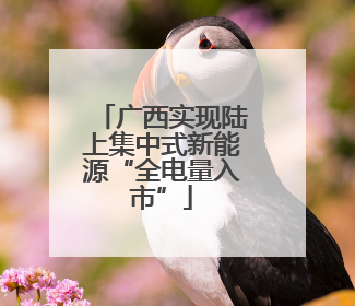广西实现陆上集中式新能源“全电量入市”