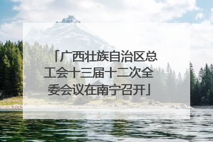 广西壮族自治区总工会十三届十二次全委会议在南宁召开