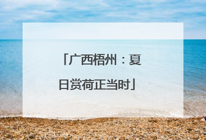 广西梧州：夏日赏荷正当时