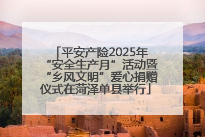 平安产险2025年“安全生产月”活动暨“乡风文明”爱心捐赠仪式在菏泽单县举行