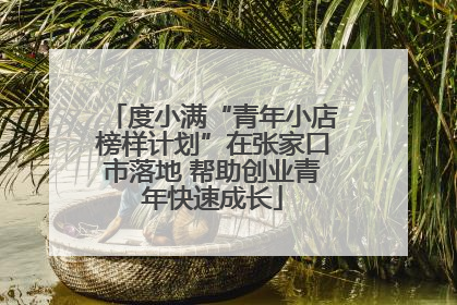 度小满“青年小店榜样计划”在张家口市落地 帮助创业青年快速成长