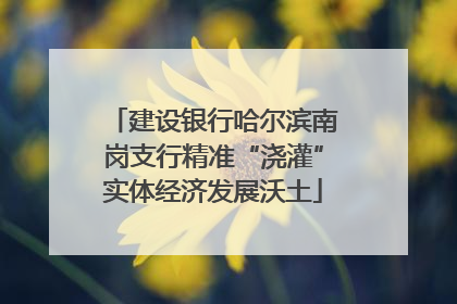 建设银行哈尔滨南岗支行精准“浇灌”实体经济发展沃土