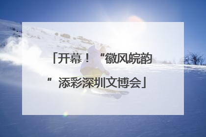 开幕！“徽风皖韵”添彩深圳文博会