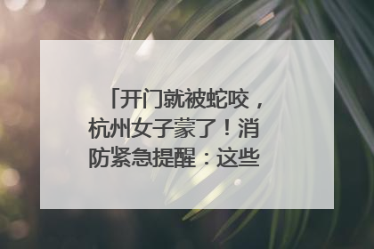 开门就被蛇咬，杭州女子蒙了！消防紧急提醒：这些方法都不靠谱！