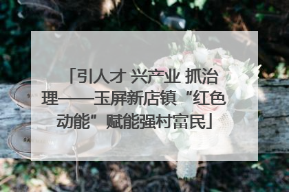 引人才 兴产业 抓治理——玉屏新店镇“红色动能”赋能强村富民
