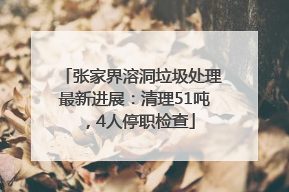 张家界溶洞垃圾处理最新进展：清理51吨，4人停职检查