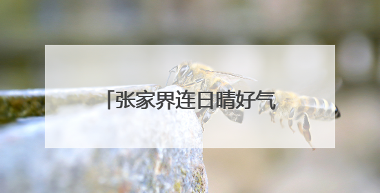 张家界连日晴好气温攀升 宝峰湖亲水清凉游受热捧