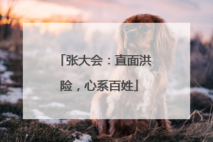 张大会：直面洪险，心系百姓