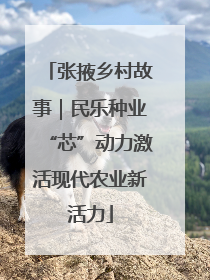 张掖乡村故事｜民乐种业“芯”动力激活现代农业新活力