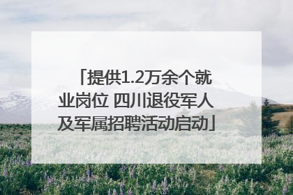提供1.2万余个就业岗位 四川退役军人及军属招聘活动启动