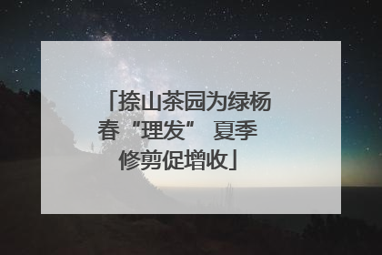 捺山茶园为绿杨春“理发” 夏季修剪促增收
