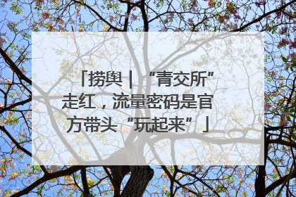 捞舆｜“青交所”走红，流量密码是官方带头“玩起来”