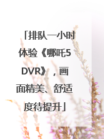 排队一小时体验《哪吒5DVR》，画面精美、舒适度待提升