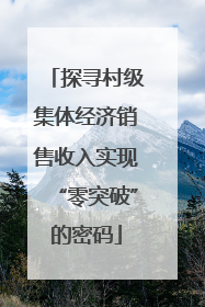 探寻村级集体经济销售收入实现“零突破”的密码