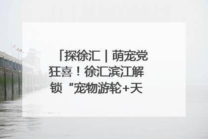 探徐汇｜萌宠党狂喜！徐汇滨江解锁“宠物游轮+天台乐园”双玩法