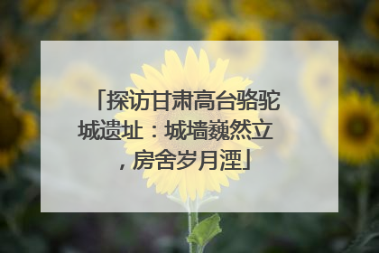 探访甘肃高台骆驼城遗址：城墙巍然立，房舍岁月湮