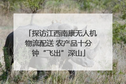 探访江西南康无人机物流配送 农产品十分钟“飞出”深山