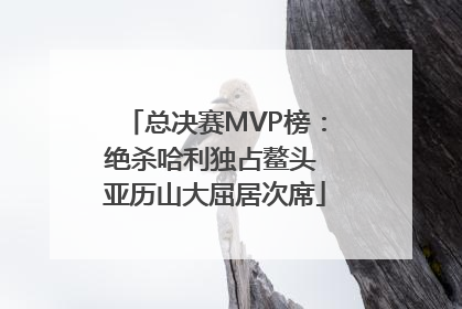 总决赛MVP榜：绝杀哈利独占鳌头 亚历山大屈居次席