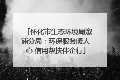 怀化市生态环境局溆浦分局：环保服务暖人心 信用帮扶伴企行