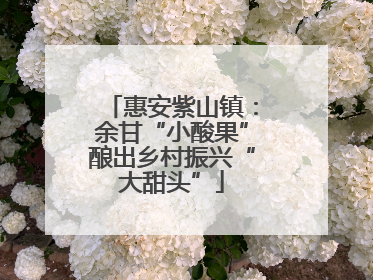 惠安紫山镇：余甘“小酸果”酿出乡村振兴“大甜头”