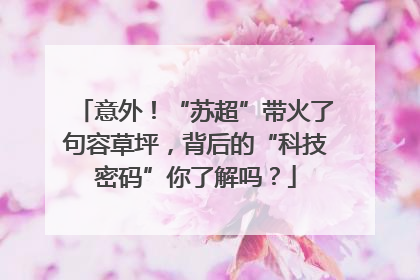 意外！“苏超”带火了句容草坪，背后的“科技密码”你了解吗？