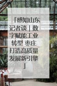 感知山东记者谈｜数字赋能工业转型 枣庄打造高质量发展新引擎