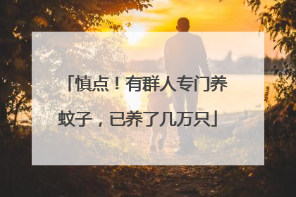慎点！有群人专门养蚊子，已养了几万只