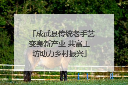 成武县传统老手艺变身新产业 共富工坊助力乡村振兴
