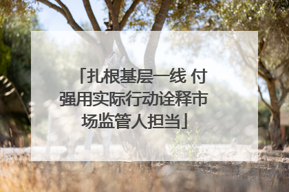 扎根基层一线 付强用实际行动诠释市场监管人担当