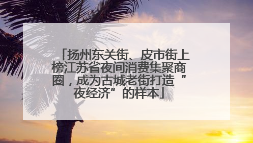 扬州东关街、皮市街上榜江苏省夜间消费集聚商圈，成为古城老街打造“夜经济”的样本