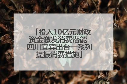 投入10亿元财政资金激发消费潜能 四川宜宾出台一系列提振消费措施