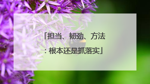 担当、韧劲、方法：根本还是抓落实