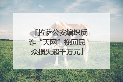拉萨公安编织反诈“天网”挽回民众损失超千万元