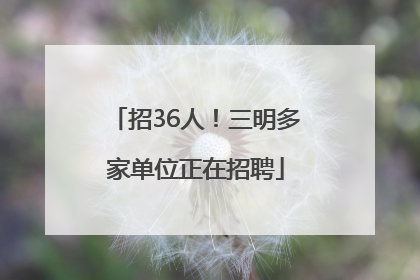招36人！三明多家单位正在招聘