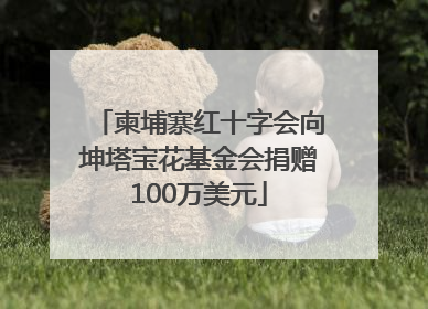 柬埔寨红十字会向坤塔宝花基金会捐赠100万美元