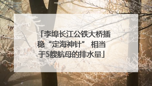 李埠长江公铁大桥插稳“定海神针” 相当于5艘航母的排水量