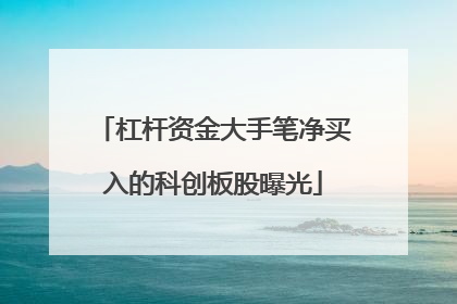 杠杆资金大手笔净买入的科创板股曝光