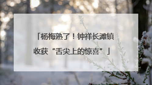杨梅熟了！钟祥长滩镇收获“舌尖上的惊喜”