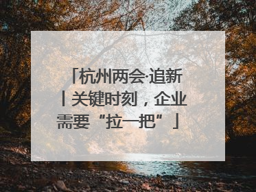 杭州两会·追新丨关键时刻，企业需要“拉一把”