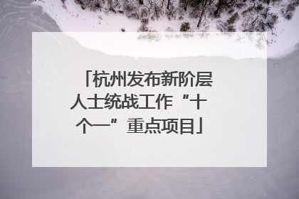 杭州发布新阶层人士统战工作“十个一”重点项目