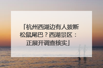 杭州西湖边有人拔断松鼠尾巴？西湖景区：正展开调查核实