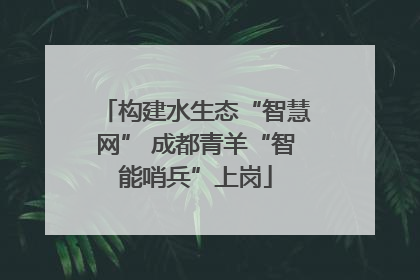 构建水生态“智慧网” 成都青羊“智能哨兵”上岗