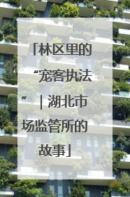 林区里的“宠客执法”｜湖北市场监管所的故事