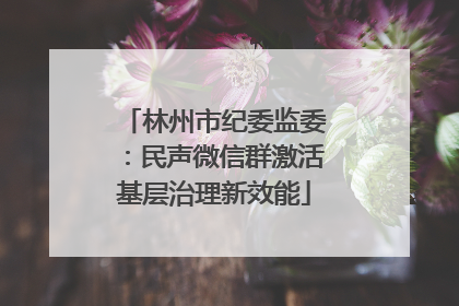 林州市纪委监委：民声微信群激活基层治理新效能