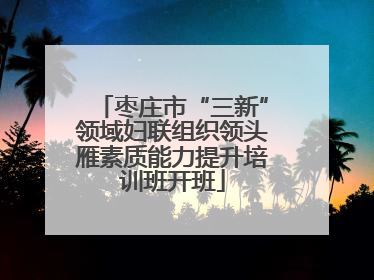 枣庄市“三新”领域妇联组织领头雁素质能力提升培训班开班