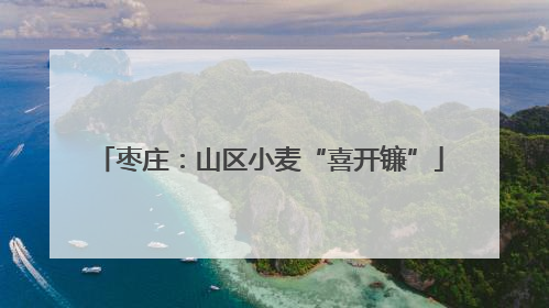 枣庄：山区小麦“喜开镰”