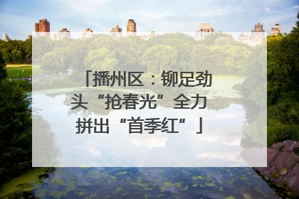 播州区：铆足劲头“抢春光”全力拼出“首季红”